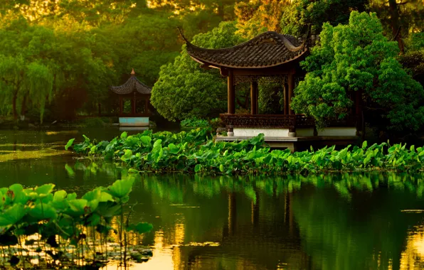 Picture water, trees, pond, Park, garden, China, pagoda, Lotus, Hangzhou, gazebos