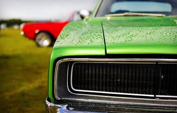 Picture green, dodge, charger