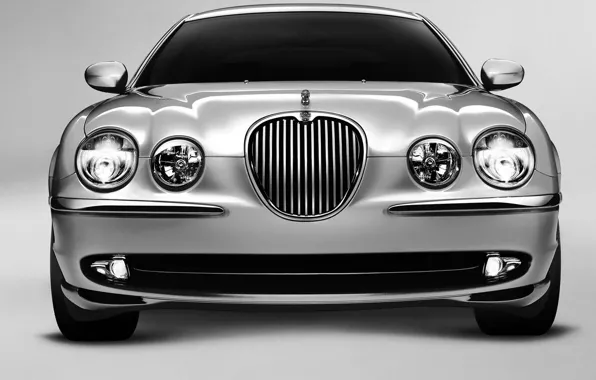 Picture Jaguar, silver, S-Type