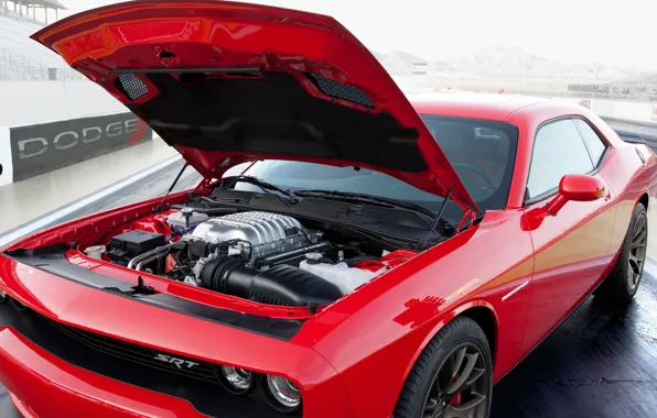 Picture Engine, Dodge, Challenger, Muscle Car, Supercharger, 2015, SRT Hellcat