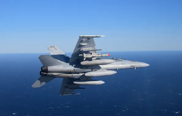 Picture sea, flight, Hornet, FA-18