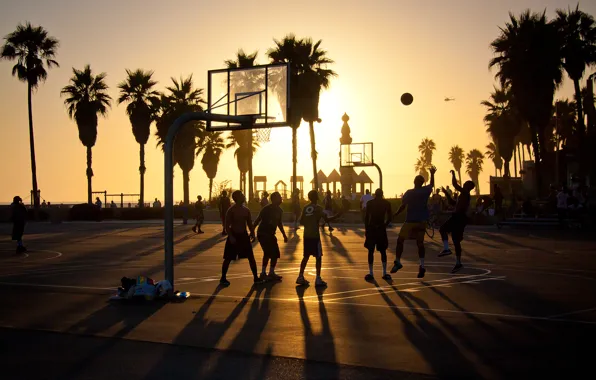 Picture summer, california, basketball, sunset, usa, los angeles, venice beach