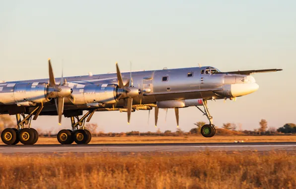 Picture The plane, Bomber, Tu-95