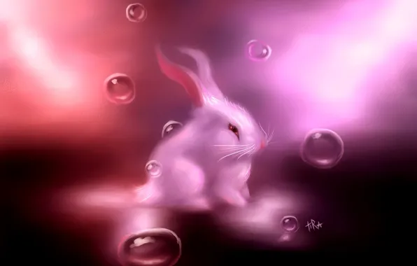 Picture white, bubbles, pink, hare, rabbit, art, Bunny