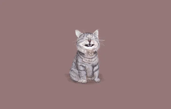 Picture cat, cat, minimalism, sitting, funny face
