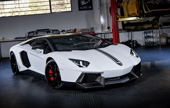 Picture Lamborghini, White, Aventador, Novitec Torado