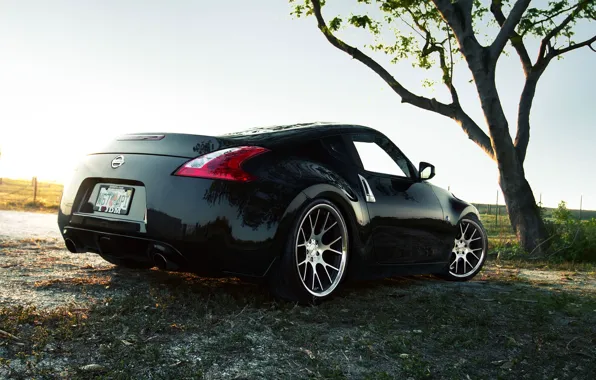 Picture The sky, Nature, Auto, Tree, Grass, Tuning, Machine, Nissan, 370Z