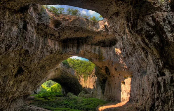 Picture trees, landscape, rocks, vegetation, cave, trees, landscape, rocks, Bulgaria, cave, vegetation, Bulgaria, Devetashka cave, Devetashka …