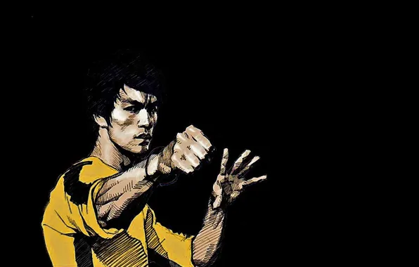 Picture memory, figure, master, legend, Bruce Lee, bruce lee