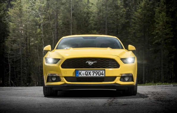 Picture coupe, Mustang, Ford, Mustang, Ford, 2015, EU-spec