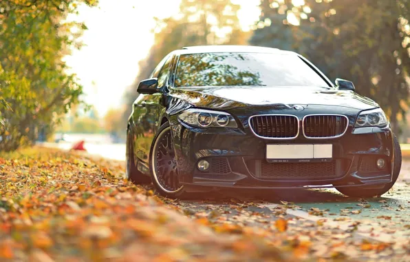 Picture autumn, leaves, tuning, BMW, BMW, F10, 550, Drive