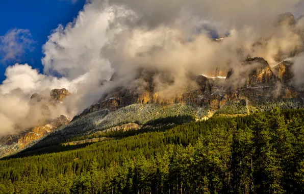 Picture forest, clouds, trees, mountains, rocks, Canada, Banff National Park, Banff