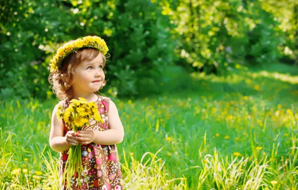 Picture summer, grass, child, summer, dandelions, flowers, dandelions, child, little girl, little girl