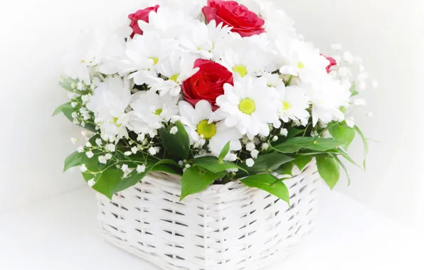 Picture flowers, basket, chamomile