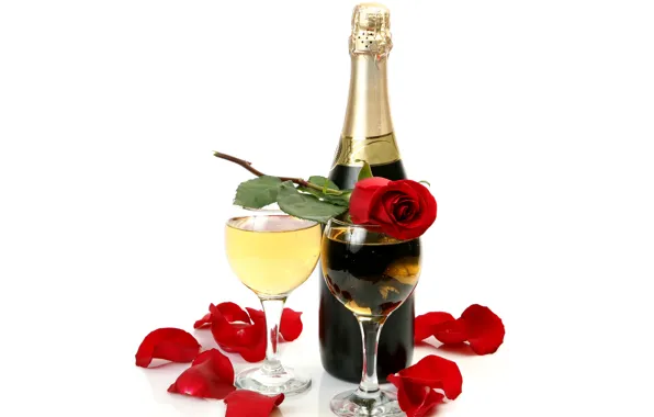 Picture wine, rose, bottle, petals, glasses, white background, champagne, red