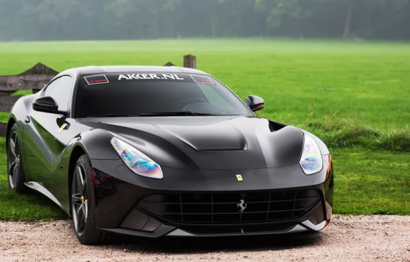 Picture Ferrari, black, Berlinetta, F12