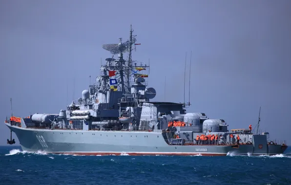Picture Navy, TFR, The black sea, patrol ship, &quot;Inquiring&quot;, &quot;Petrel&quot;, project 1135-M