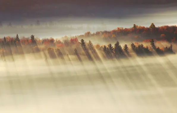 Picture autumn, rays, light, morning, valley