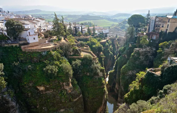 Picture trees, houses, Spain, homes, height, Ronda, Andalusia, river runs through it