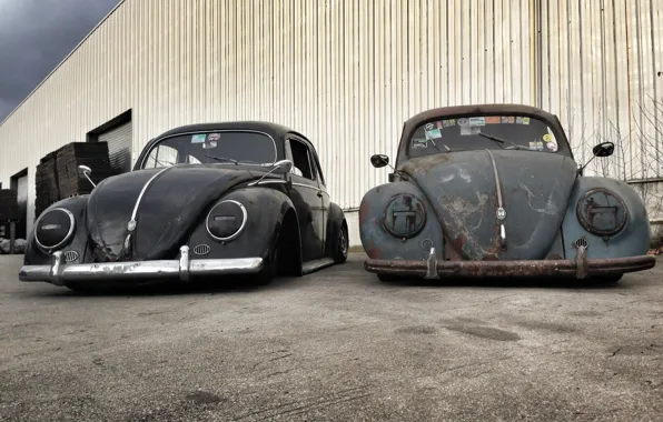 Picture Volkswagen, black, grey, Beetle, ratlook