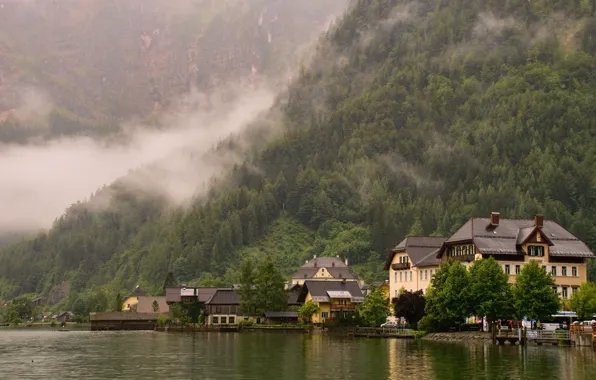 Picture forest, mountains, the city, fog, Austria, Hallstatt