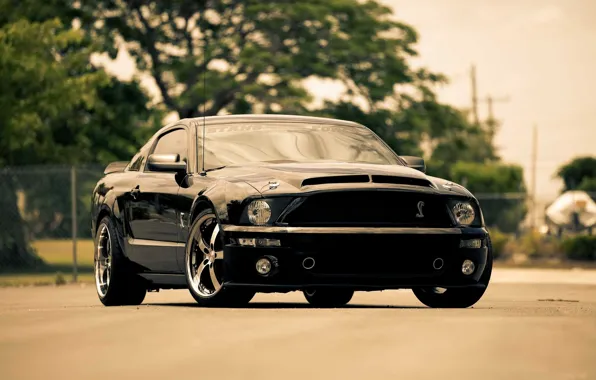 Picture Mustang, Ford, black, the front part