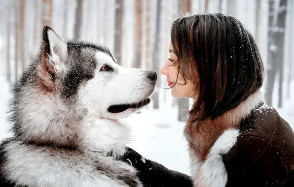 Picture GIRL, LOOK, SNOW, SMILE, DOG