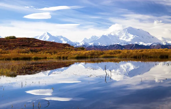 Picture lake, reflection, Alaska, mount McKinley, Denali national Park