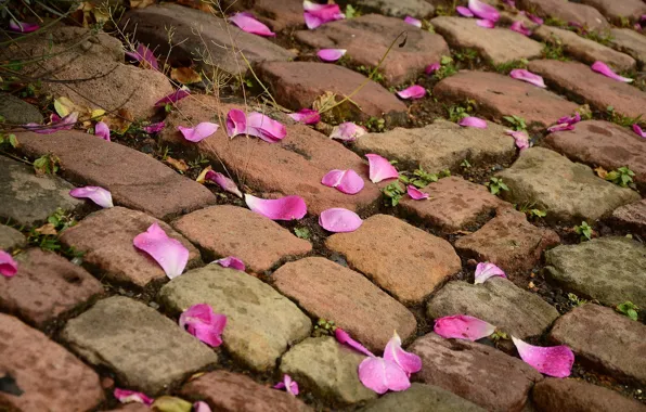 Picture stones, pavers, petals