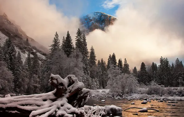 Picture frost, snow, mountains, nature, CA, Yosemite National Park