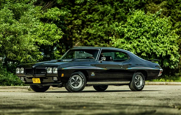 Picture coupe, Coupe, Pontiac, GTO, 1970, Pontiac, Hardtop