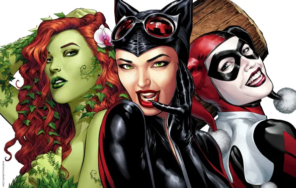 Picture the game, art, poison ivy, DC Comics, Catwoman, Selina Kyle, cat woman, Harley Quinn, Harley …