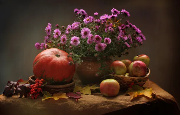 Picture autumn, apples, pumpkin, asters