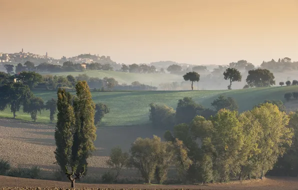Picture the sky, trees, fog, hills, home, morning, Italy
