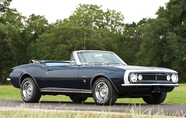 Picture road, trees, Chevrolet, Convertible, Camaro, Chevrolet, Camaro, 1967, the front, Muscle car, Convertible, Muscle car