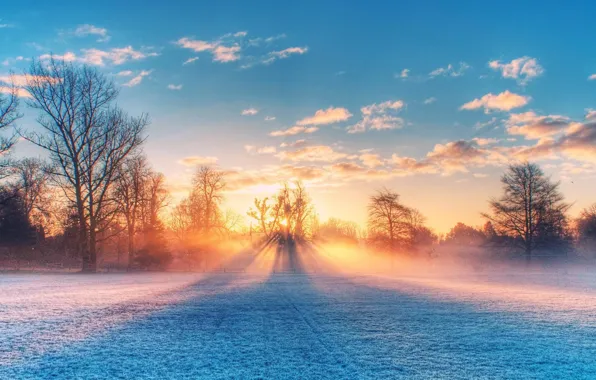 Picture field, nature, sunset, sunlight, winter scenery