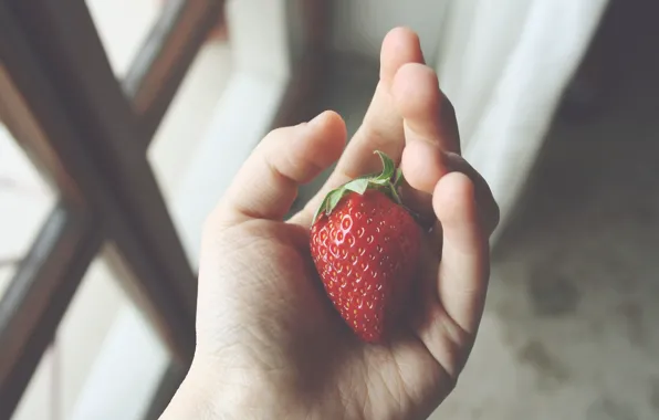 Picture hand, strawberry, berry, fingers, red