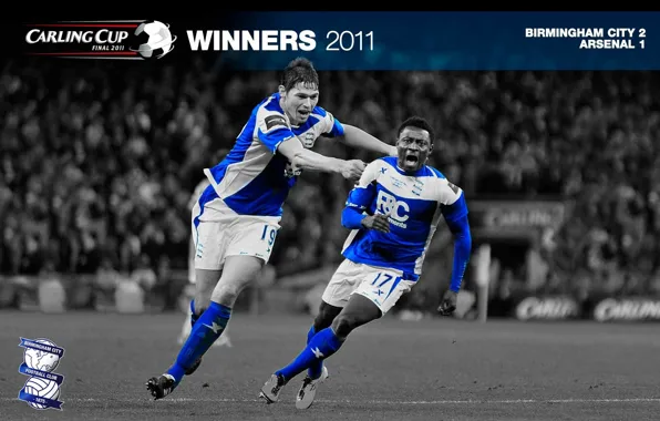 Picture wallpaper, sport, football, England, players, Birmingham City FC, Carling Cup Winners