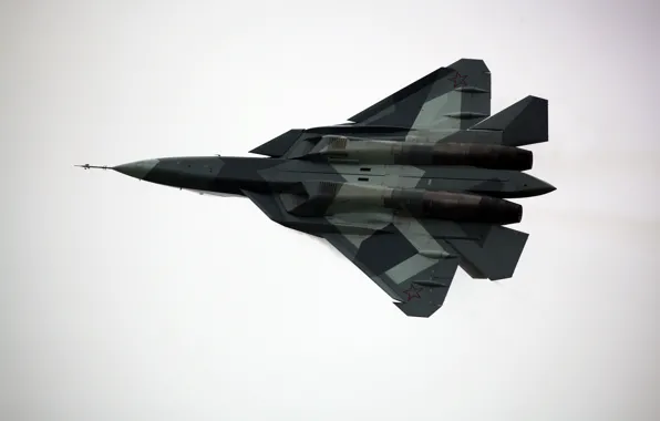Picture fighter, T-50, multipurpose, Dry, PAK FA, The Russian air force, MAKS-2013, Promising Aviation Complex Tactical …