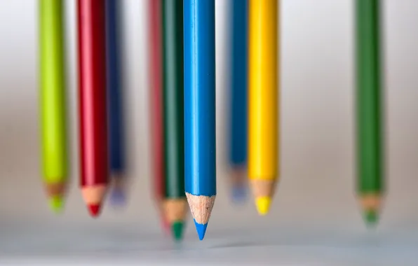 Picture color, pencils, form