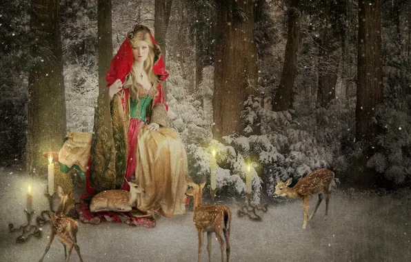 Picture winter, forest, snow, candles, deer, Christmas card, Mrs Claus