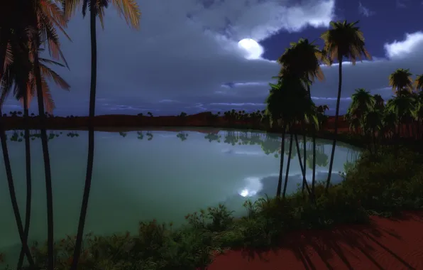 Picture night, lake, palm trees, the moon, oasis