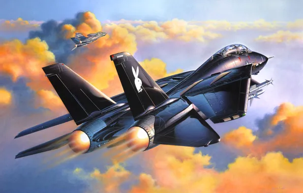 Picture the sky, aviation, Wallpaper, fighter, F-14A Black Tomcat