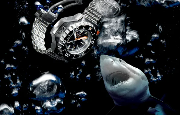 Picture water, shark, Watch, Omega, Seamaster, 1200M, Ploprof