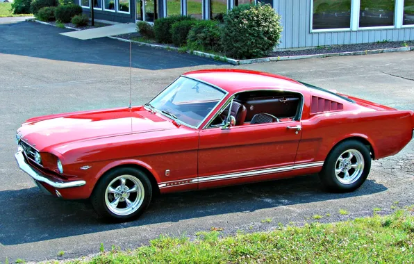 Picture Mustang, Ford, Mustang, red, USA, Ford Mustang, 1966, Muscle car, Ford Mustang, oil CT, American …