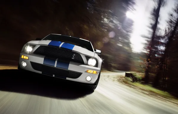 Picture Shelby, GT500, Cobra