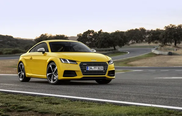 Picture Audi, Coupe, 2015, TTS