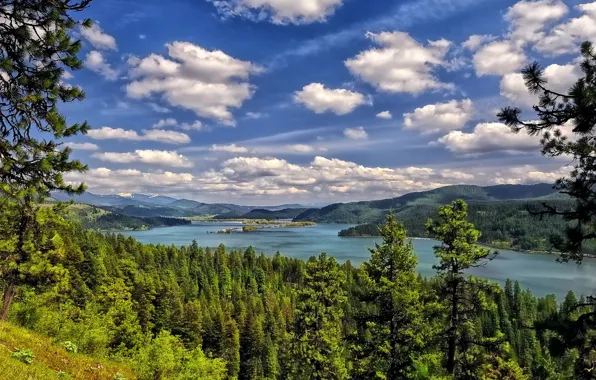 Picture forest, clouds, trees, lake, Lake Coeur d'alene