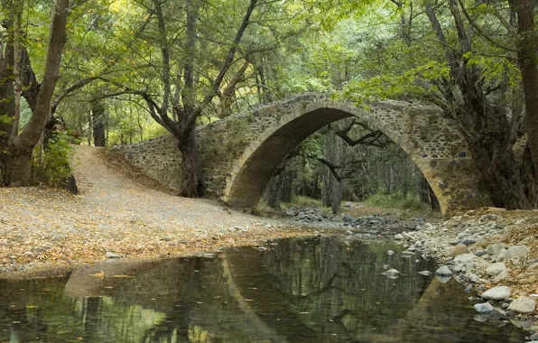 Picture forest, leaves, trees, bridge, Park, reflection, river, stream, stones