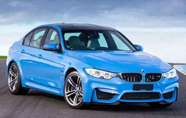 Picture Color, BMW, Machine, BMW, Blue, Car, Car, Blue, 2014, F80